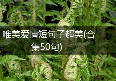 唯美爱情短句子超美(合集50句)