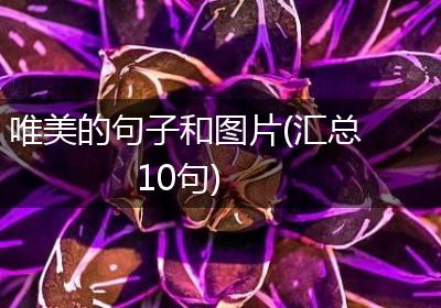 唯美的句子和图片(汇总10句)