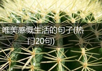 唯美感慨生活的句子(热门20句)