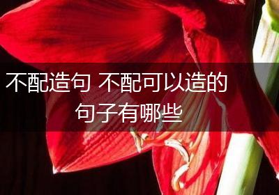 不配造句 不配可以造的句子有哪些