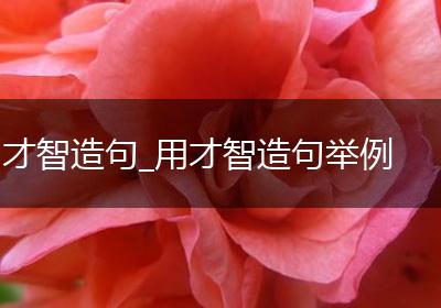 才智造句_用才智造句举例