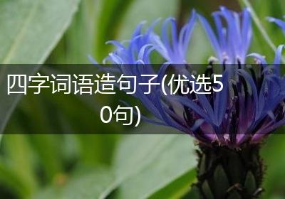 四字词语造句子(优选50句)