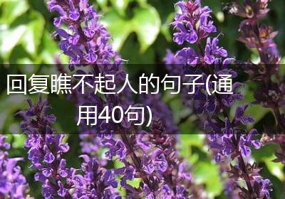 回复瞧不起人的句子(通用40句)