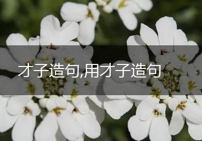 才子造句,用才子造句