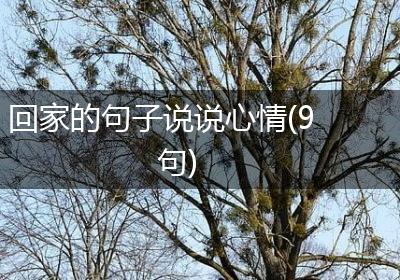 回家的句子说说心情(9句)