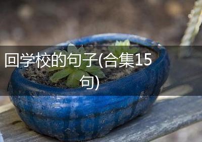回学校的句子(合集15句)