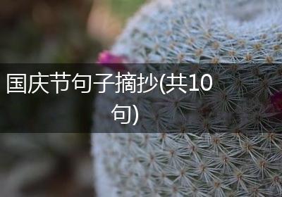 国庆节句子摘抄(共10句)