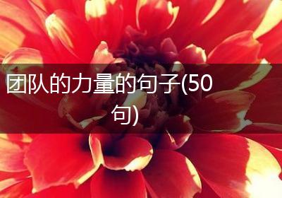 团队的力量的句子(50句)