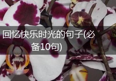 回忆快乐时光的句子(必备10句)