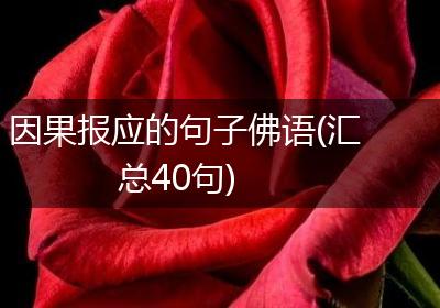 因果报应的句子佛语(汇总40句)