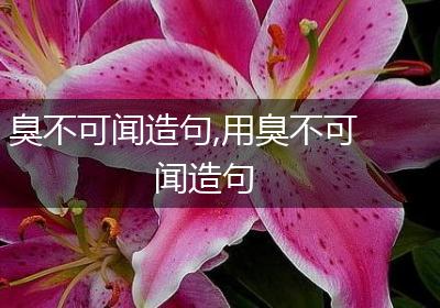 臭不可闻造句,用臭不可闻造句