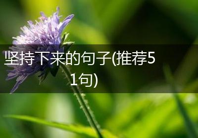 坚持下来的句子(推荐51句)
