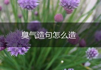 臭气造句怎么造
