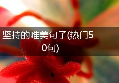 坚持的唯美句子(热门50句)