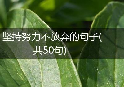坚持努力不放弃的句子(共50句)