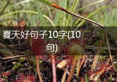 夏天好句子10字(10句)