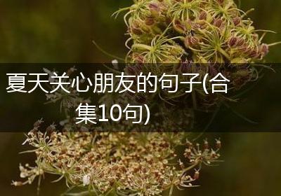 夏天关心朋友的句子(合集10句)