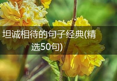坦诚相待的句子经典(精选50句)