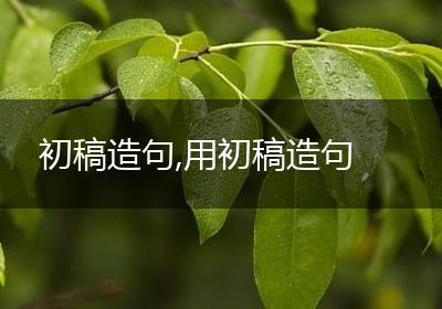 初稿造句,用初稿造句
