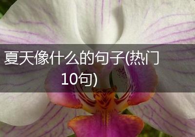 夏天像什么的句子(热门10句)