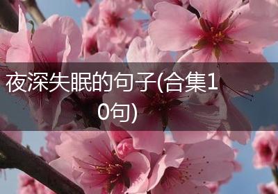 夜深失眠的句子(合集10句)