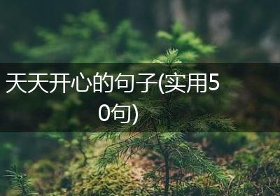 天天开心的句子(实用50句)