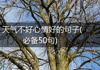 天气不好心情好的句子(必备50句)