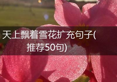 天上飘着雪花扩充句子(推荐50句)