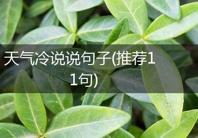 天气冷说说句子(推荐11句)