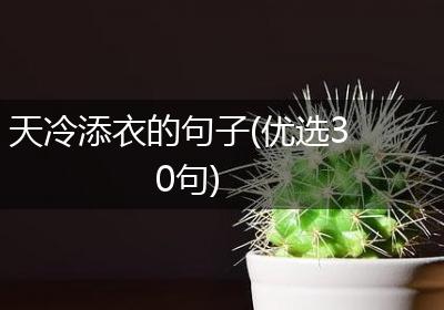 天冷添衣的句子(优选30句)