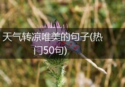 天气转凉唯美的句子(热门50句)