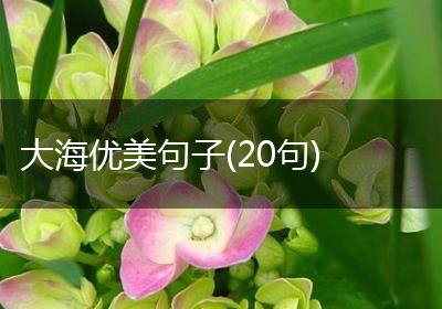 大海优美句子(20句)