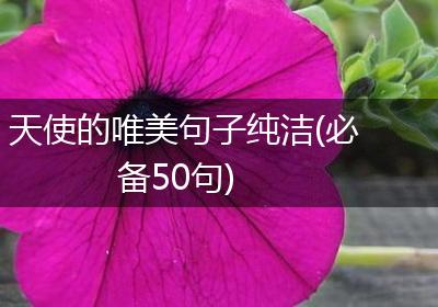 天使的唯美句子纯洁(必备50句)