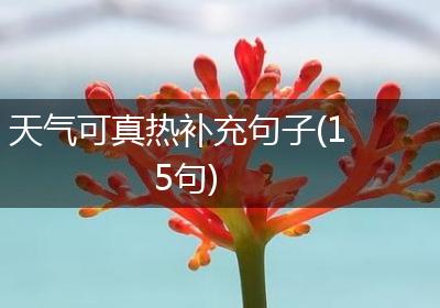 天气可真热补充句子(15句)