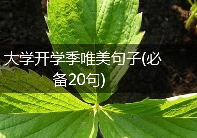大学开学季唯美句子(必备20句)