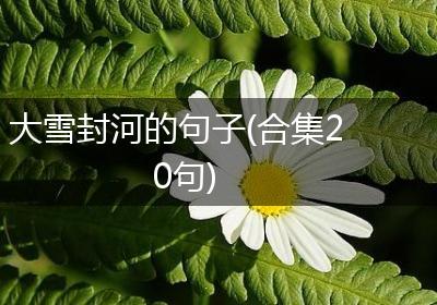 大雪封河的句子(合集20句)