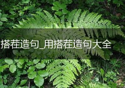 搭茬造句_用搭茬造句大全