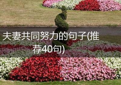 夫妻共同努力的句子(推荐40句)