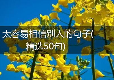 太容易相信别人的句子(精选50句)