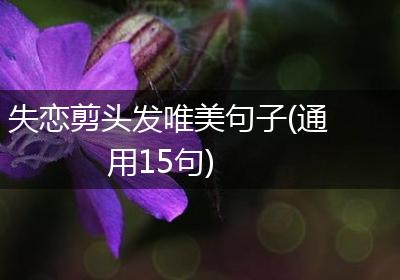 失恋剪头发唯美句子(通用15句)