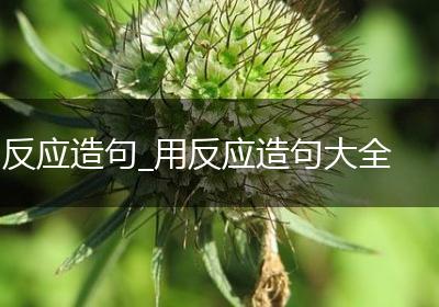 反应造句_用反应造句大全