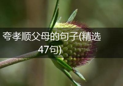 夸孝顺父母的句子(精选47句)