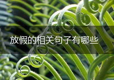 放假的相关句子有哪些