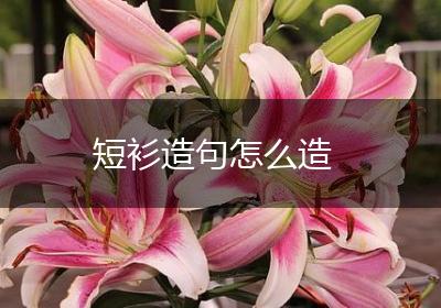 短衫造句怎么造