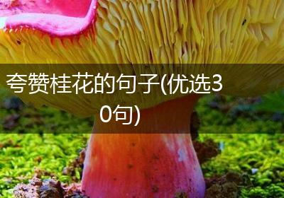 夸赞桂花的句子(优选30句)