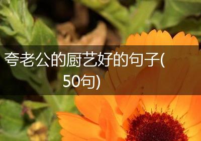 夸老公的厨艺好的句子(50句)