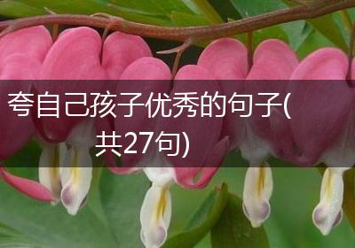 夸自己孩子优秀的句子(共27句)