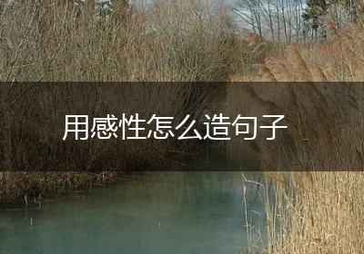 用感性怎么造句子