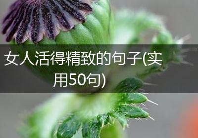 女人活得精致的句子(实用50句)