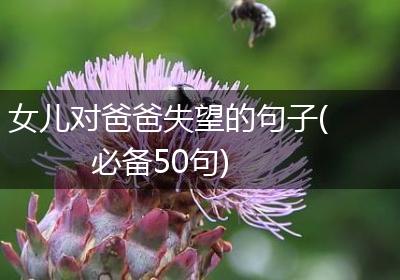 女儿对爸爸失望的句子(必备50句)